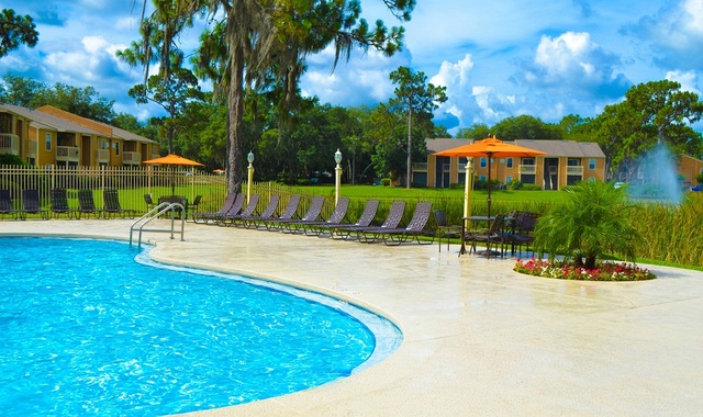 welcome home apartments for rent in tampa fl windwood oaks